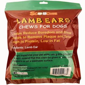 15 Pack Lamb Ear