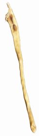 6-8 Inch Lamb tail Bulk