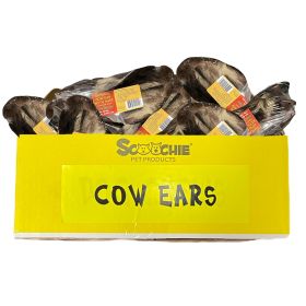 Natural Cow Ear with Hair Shrink with UPC Large PDQ of 36